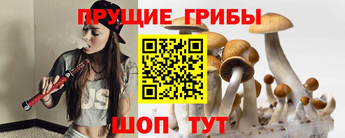Псилоцибиновые грибы ЛСД  Псилоцибиновые грибы Psilocybe  Тихвин  Вход с VPN 
